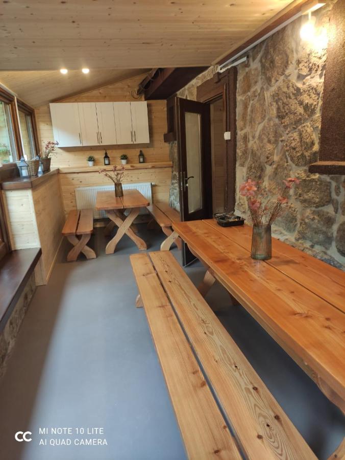 Karkonoski Sad Piechowice  Extérieur photo